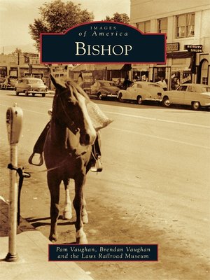 cover image of Bishop